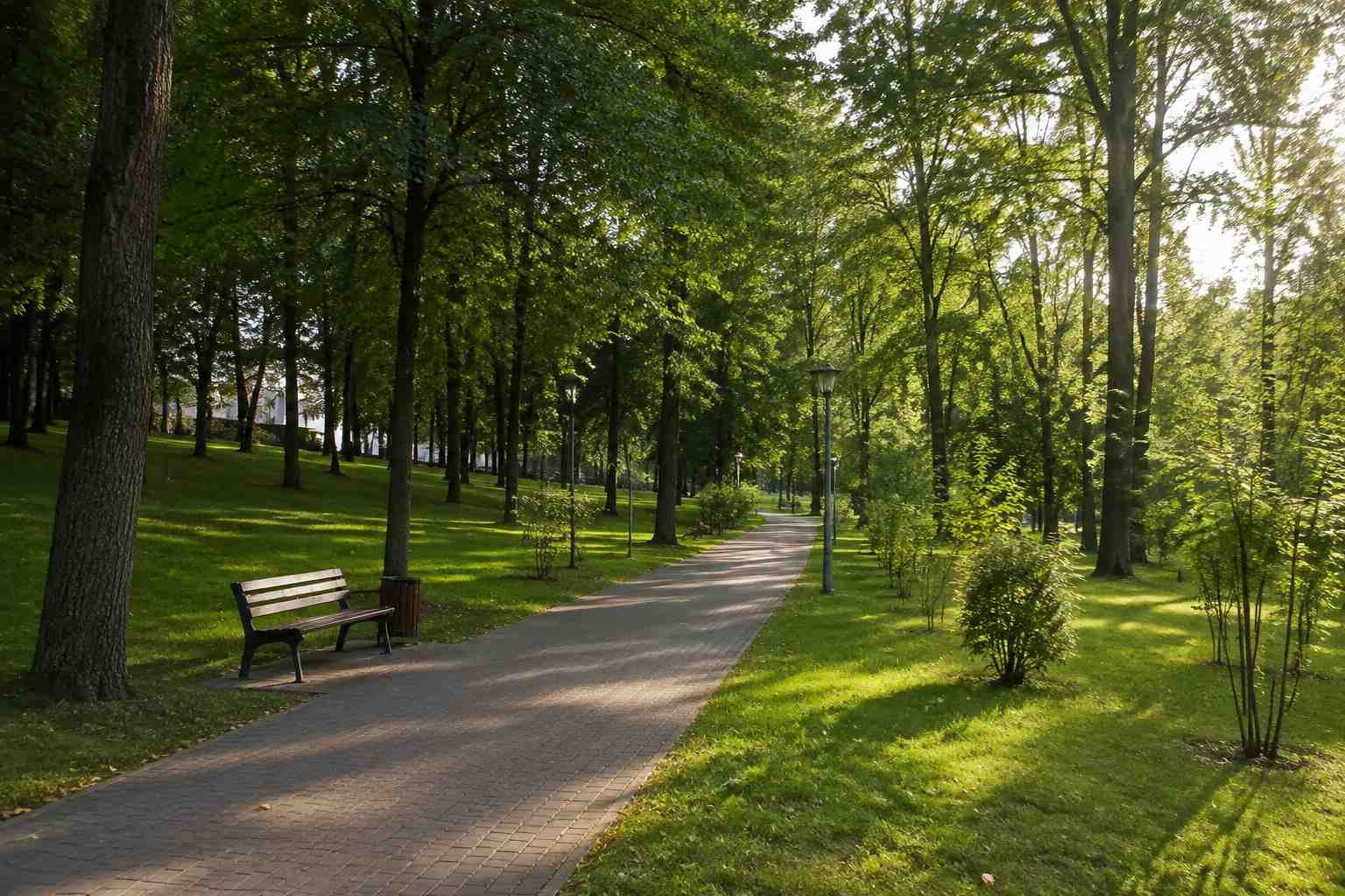 https://velikij-novgorod.blago-s.ru/storage/app/uploads/public/6a7/eef/ed2/6a7eefed2af22038960370.jpg
